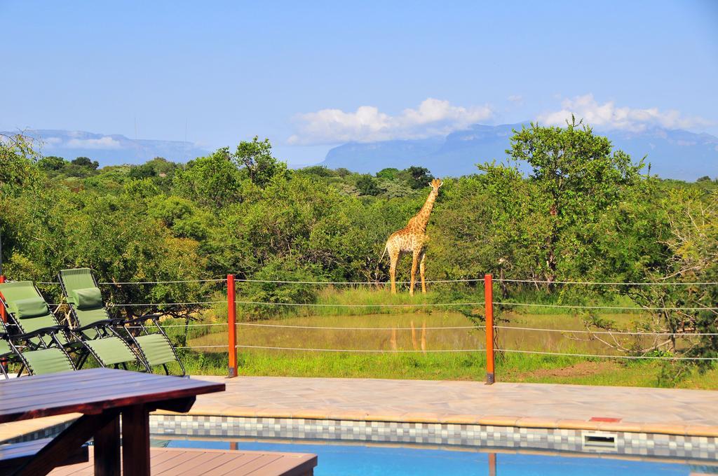 Cheetah Paw Eco Lodge Guernsey Nature Reserve Exterior photo